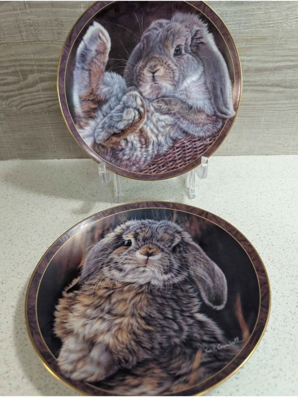 The Bradford Exchange Vivi Crandall Bunny Tales "Footloose" Collector Plates